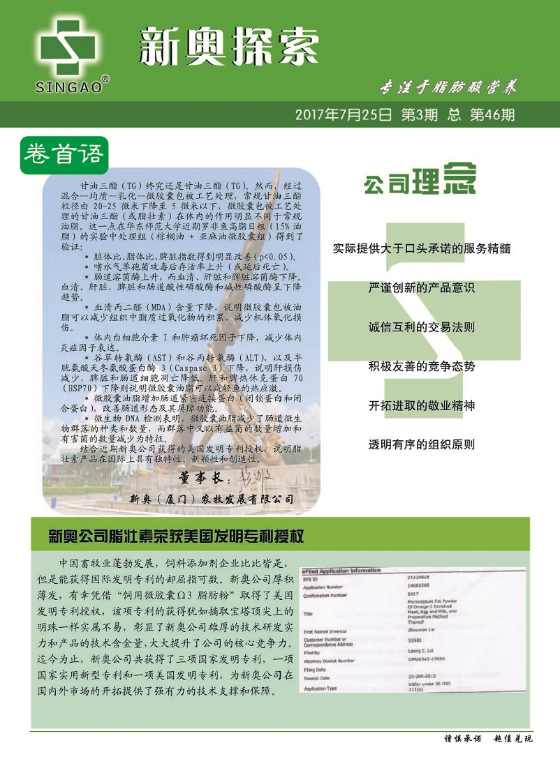 2024新奥免费资料,统计材料解释设想_高效版68.939
