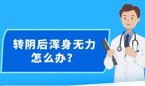 新澳精准资料免费提供,统计信息解析说明_赋能版29.356