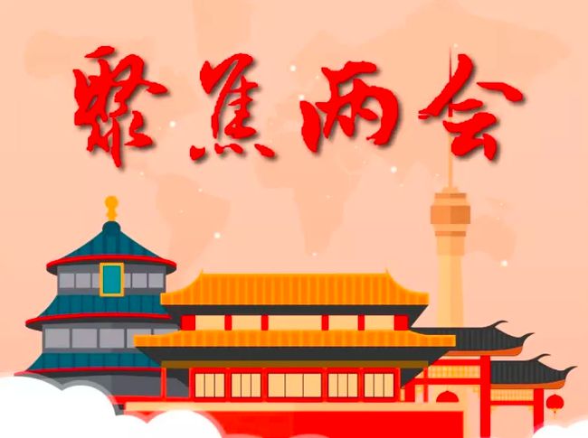 解读2024两会最新政策，聚焦三大要点，展望未来发展之路的22条政策解读